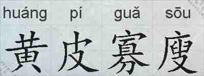 黄皮寡廋的拼音