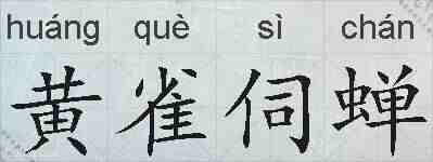 黄雀伺蝉的拼音