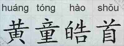 黄童皓首的拼音