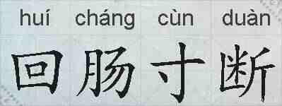 回肠寸断的拼音