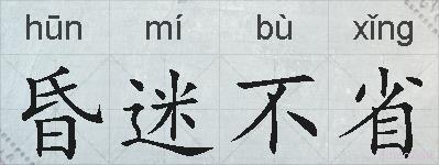 昏迷不省的拼音