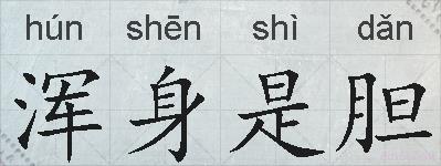浑身是胆的拼音