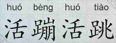 活蹦活跳的拼音