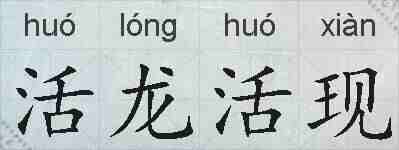活龙活现的拼音