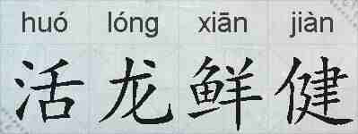 活龙鲜健的拼音