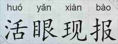 活眼现报的拼音