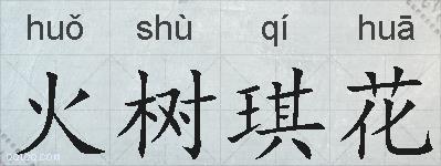 火树琪花的拼音