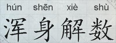 浑身解数的拼音