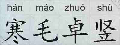 寒毛卓竖的拼音