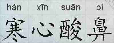 寒心酸鼻的拼音