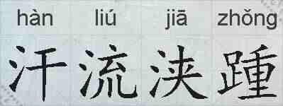 汗流浃踵的拼音