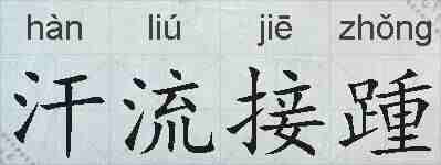 汗流接踵的拼音