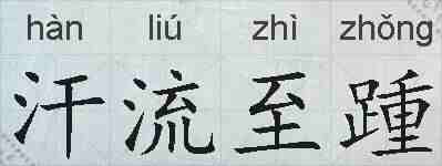 汗流至踵的拼音