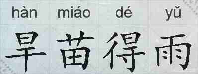 旱苗得雨的拼音