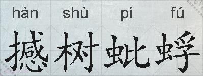 撼树蚍蜉的拼音