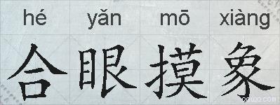 合眼摸象的拼音