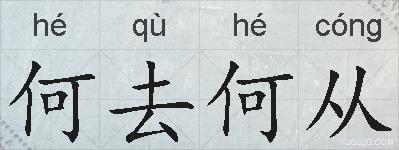 何去何从的拼音