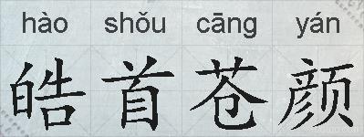 皓首苍颜的拼音