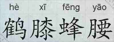 鹤膝蜂腰的拼音