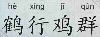 鹤行鸡群的拼音