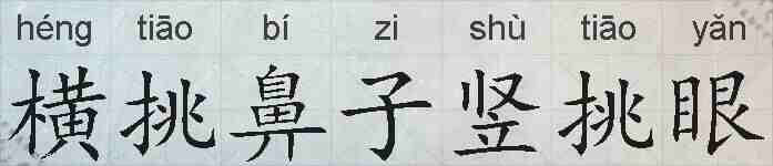 横挑鼻子竖挑眼的拼音