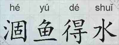 涸鱼得水的拼音