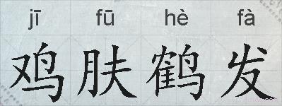 鸡肤鹤发的拼音