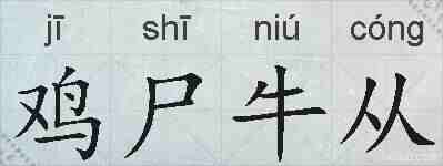 鸡尸牛从的拼音