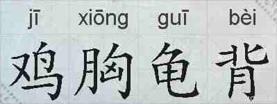鸡胸龟背的拼音
