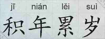 积年累岁的拼音