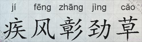 疾风彰劲草的拼音