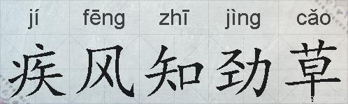 疾风知劲草的拼音