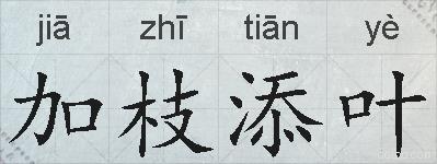 加枝添叶的拼音