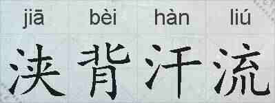 浃背汗流的拼音