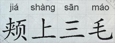 颊上三毛的拼音