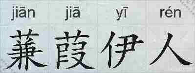 蒹葭伊人的拼音
