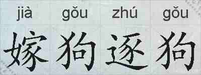 嫁狗逐狗的拼音