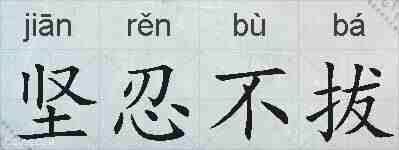 坚忍不拔的拼音