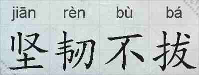 坚韧不拔的拼音