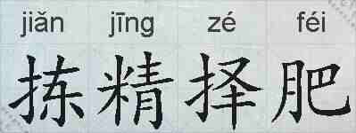 拣精择肥的拼音