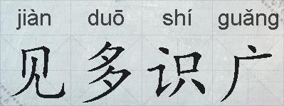 见多识广的拼音