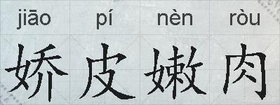 娇皮嫩肉的拼音