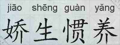 娇生惯养的拼音