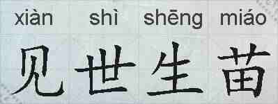 见世生苗的拼音