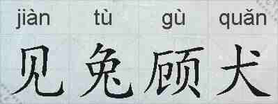 见兔顾犬的拼音