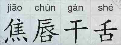 焦唇干舌的拼音