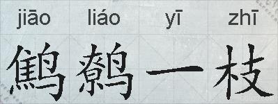鹪鹩一枝的拼音