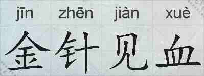 金针见血的拼音