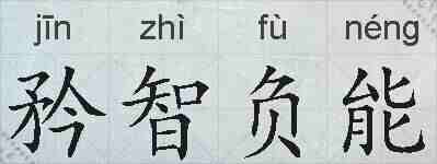 矜智负能的拼音