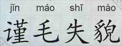 谨毛失貌的拼音